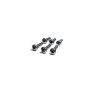 SUITS FORD FALCON XR XT XW XY - FAIRLANE ZA ZB ZC ZD FRONT OR REAR DOOR ARMERST SCREW 6 PACK