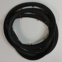 Front Door Seal for Ford XR XT XW XY Sedan Wagon Ute and Panel Van - Left Hand Side